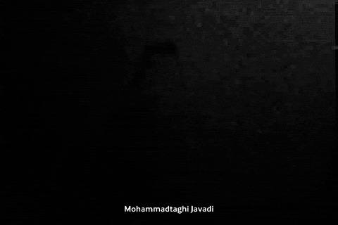 jpeg