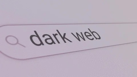 dark web search engine