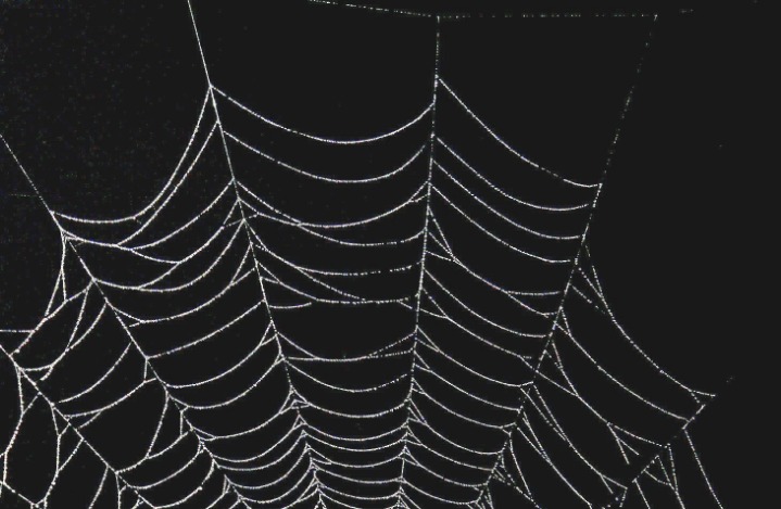 dark web drug market 2026