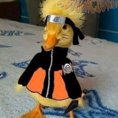 dark web com